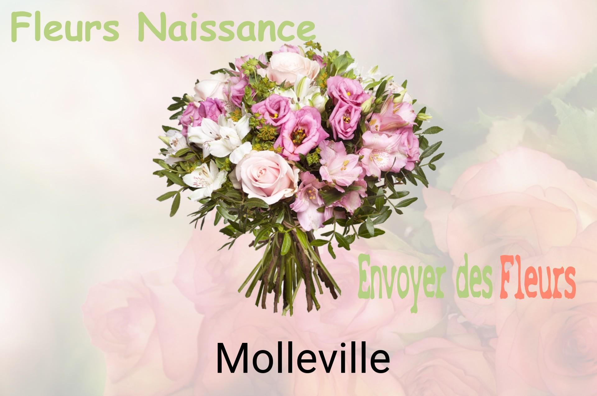 Bouquet de fleurs de naissance livré à Molleville