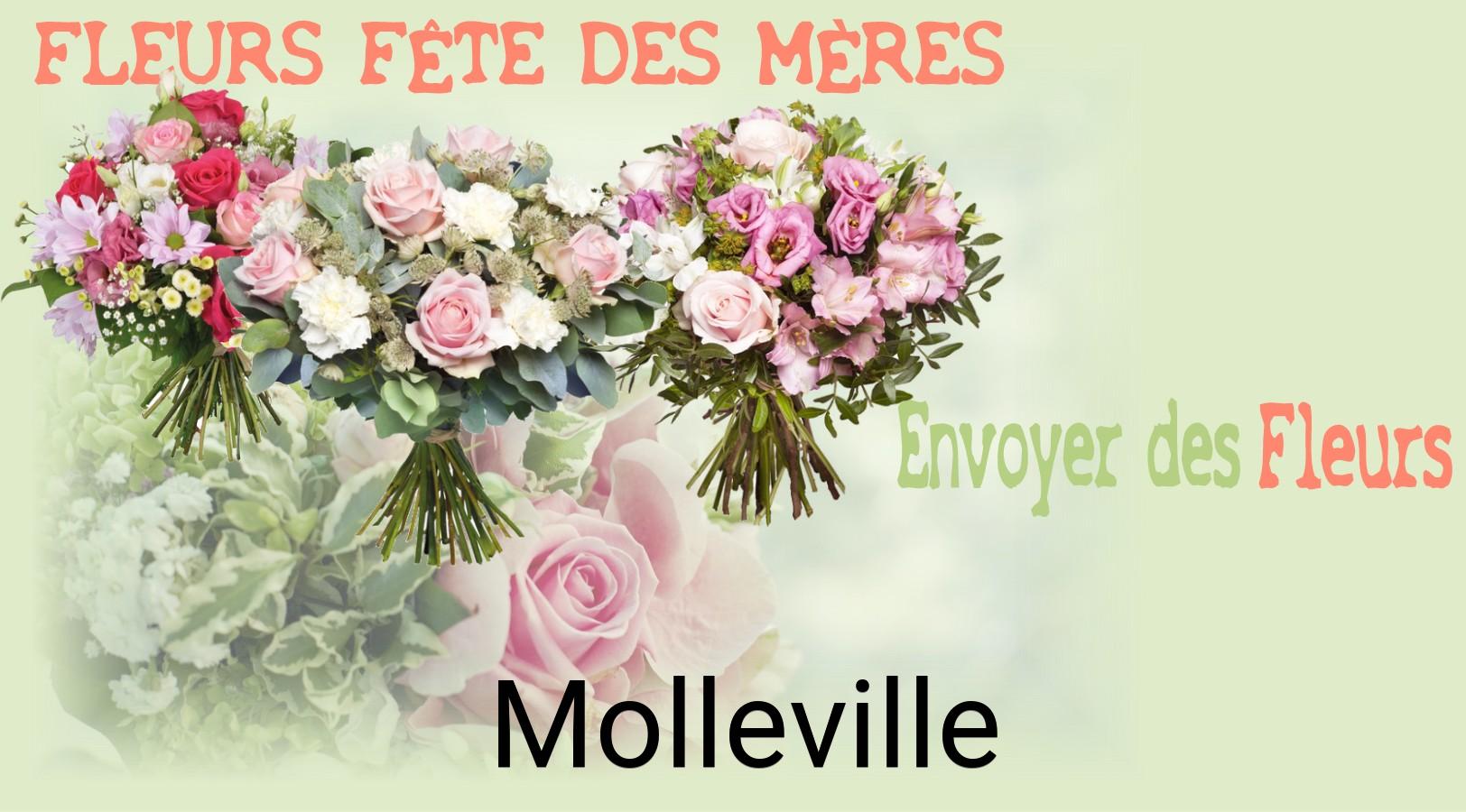 Bouquet de Fête des Mères livré à Molleville
